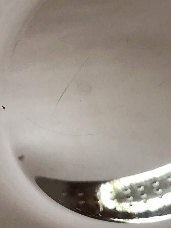 alessi Schale Amfitheatrof FA02/21 Bild 2